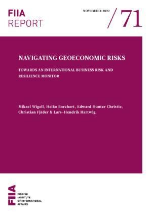 Navigating geoeconomic risks: Towards an international business risk and resilience monitor